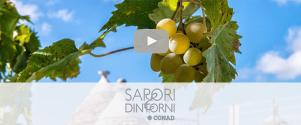 Saporiecom--uva-di-puglia-164142 /upload/thumbnail1/2024/8/22/170390/thumb2