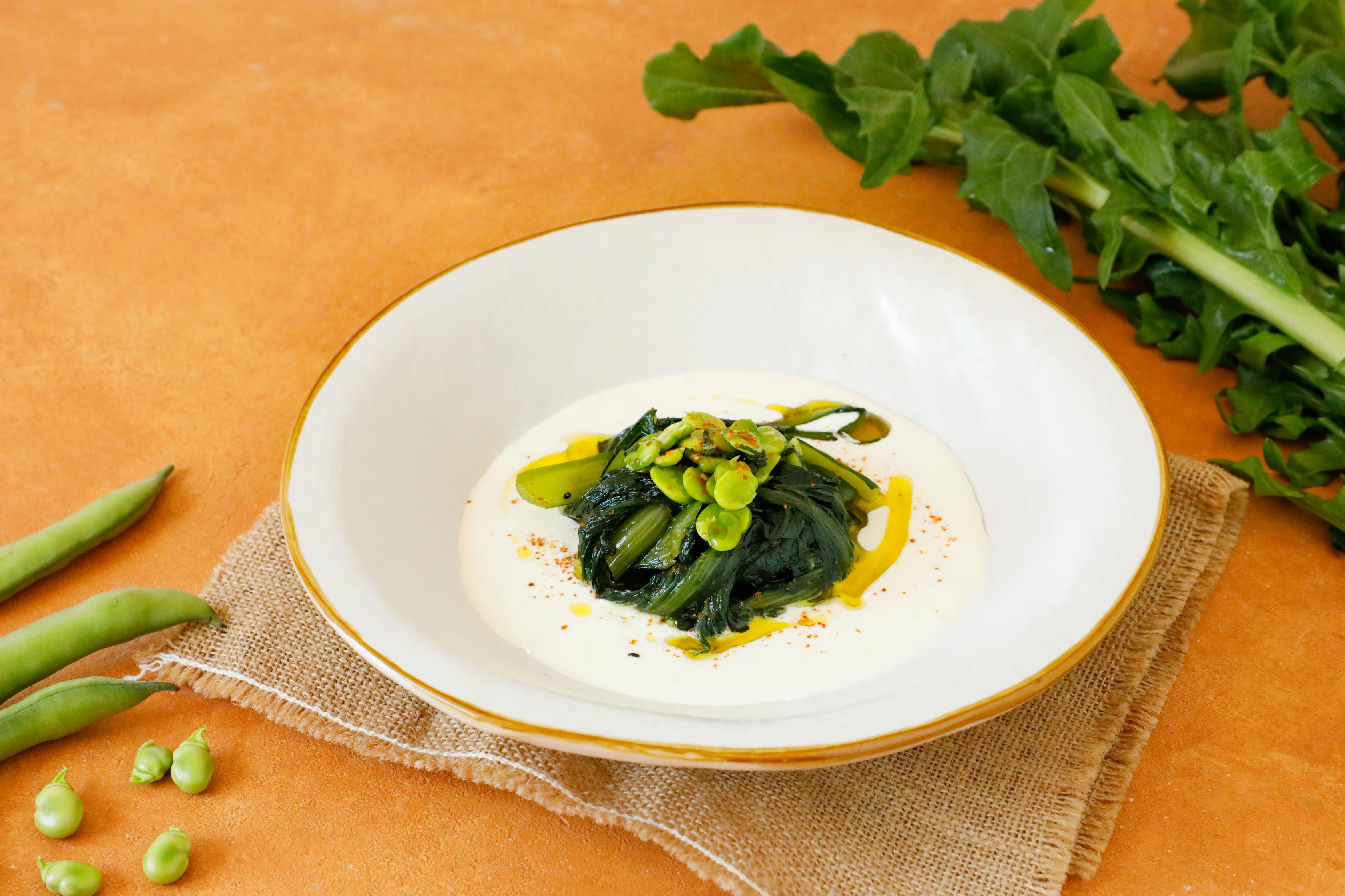 Fave e cicoria con burrata pugliese