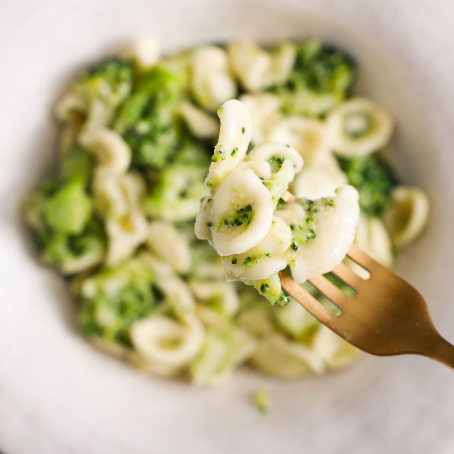 Orecchiette ai broccoletti e acciughe sottolio