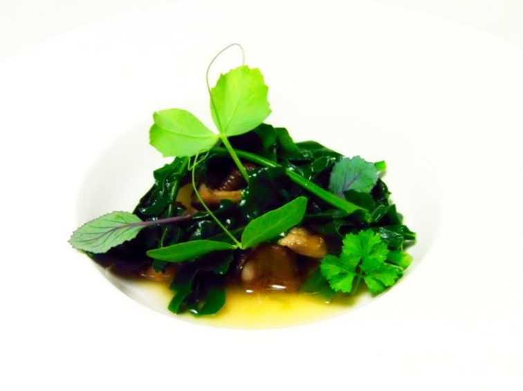 Brodo dashi vegan di funghi shiitake con cavolo nero