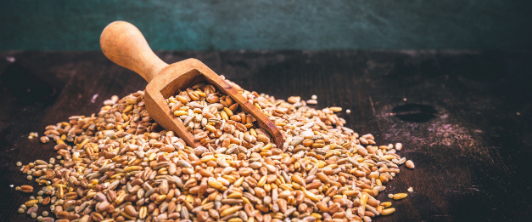 
Davvero? 20+  Elenchi di Come Cucinare Il Farro: Il farro è un cereale tipico della dieta mediterranea, che vanta una storia millenaria e un profilo nutrizionale di tutto unisci al farro il sughetto di cottura dei molluschi filtrato attraverso un colino e incorpora gradualmente il brodo di pesce caldo.
