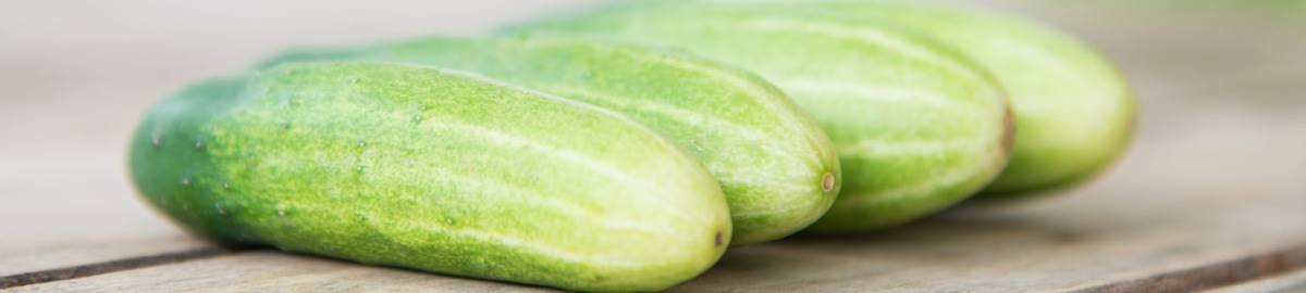 come-cucinare-le-zucchine-proprieta-ricette-e-curiosita