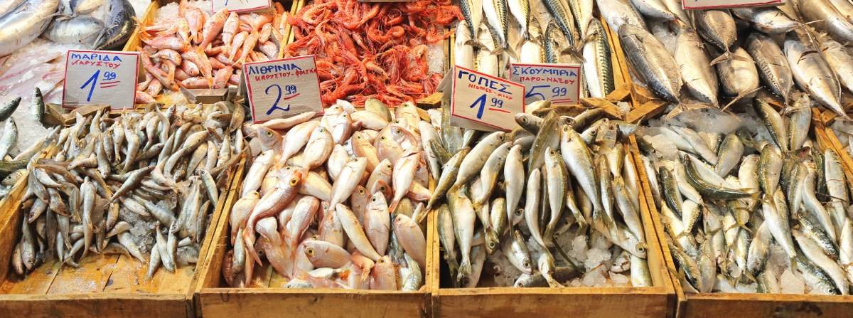4-pesci-azzurri-e-come-cucinarli