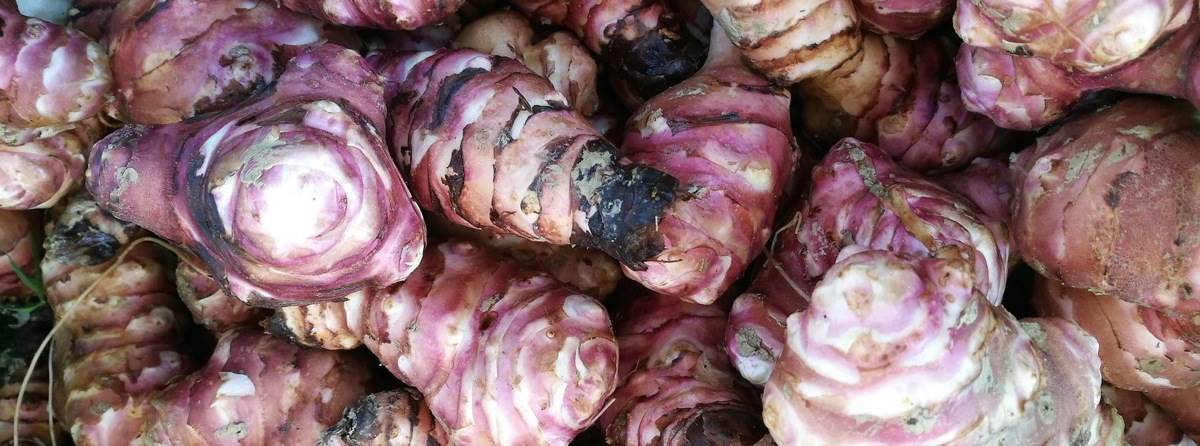 come-cucinare-radici-e-tuberi