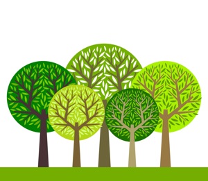 festival-della-biodiversita