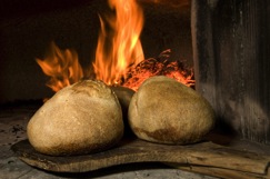 pane-e-olio-in-frantoio-formaggio