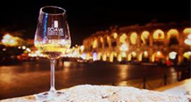 soave-versus-2014-winefood-experience