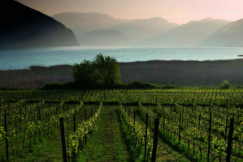franciacorta-il-regno-delle-bollicine-italiane