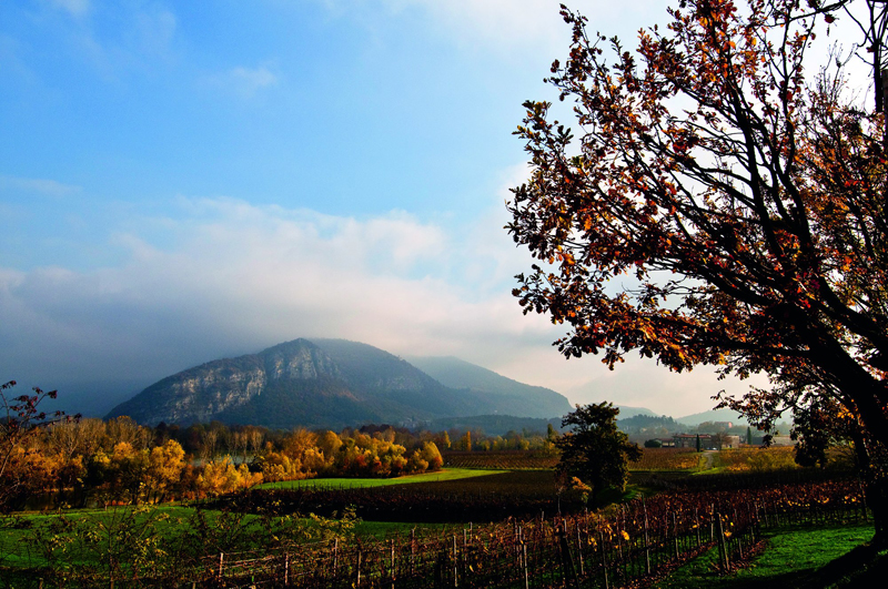 franciacorta-il-regno-delle-bollicine-italiane