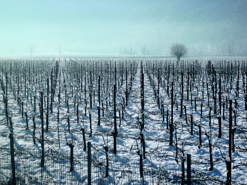 franciacorta-il-regno-delle-bollicine-italiane