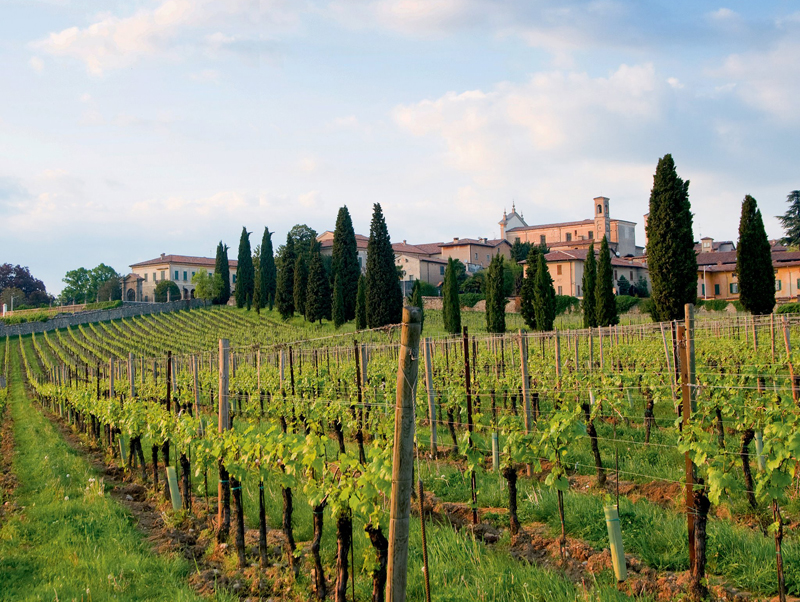 franciacorta-il-regno-delle-bollicine-italiane