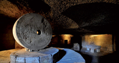 specchia-tra-i-mandorli-e-gli-ulivi-del-salento