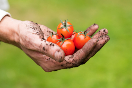 il-buono-del-paese-siracusa-sapori-e-dintorni