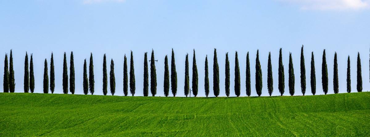 le-strade-del-vino-in-toscana-itinerari-da-assaporare-lentamente