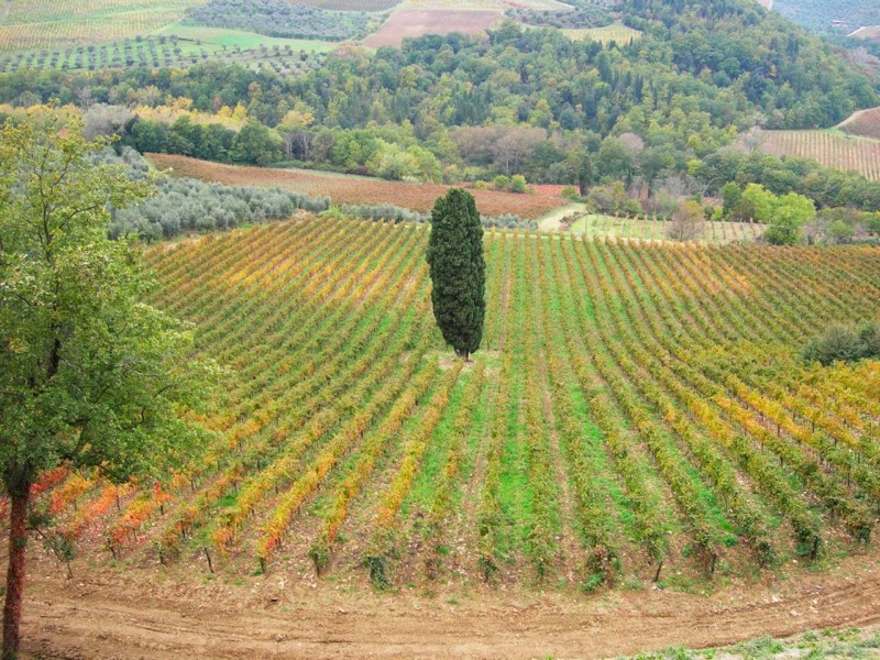la-toscana-e-le-suggestioni-del-chianti