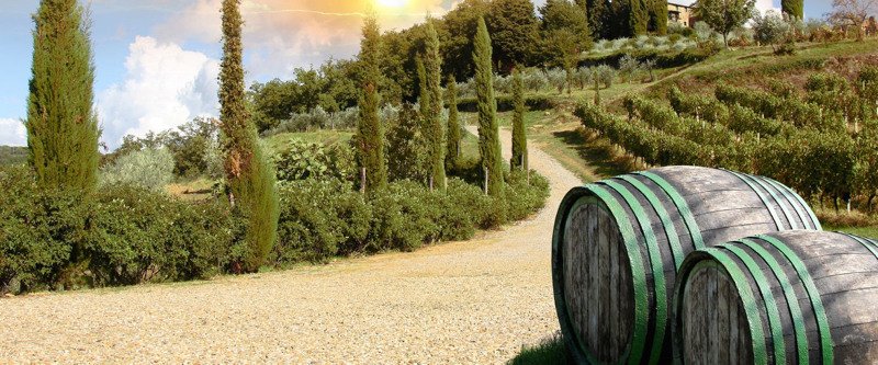 le-strade-del-vino-in-toscana-itinerari-da-assaporare-lentamente