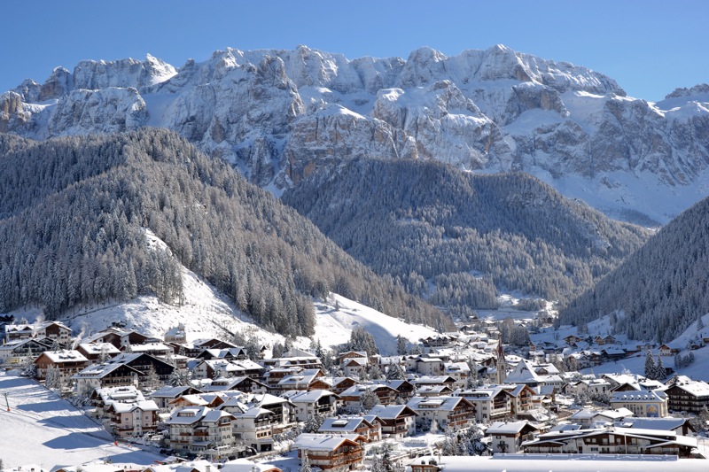 Selva panorama Selva panorama
