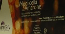 dal-valpolicella-all-amarone-un-seminario-degustazione