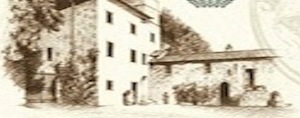 degustazione-di-olio-e-vino-della-fattoria-di-peruzzo
