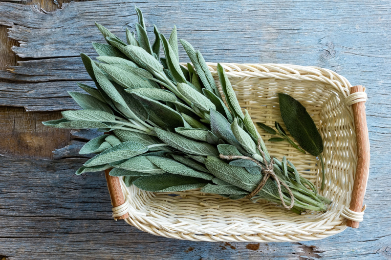 le-verdure-di-marzo-la-spesa-di-stagione