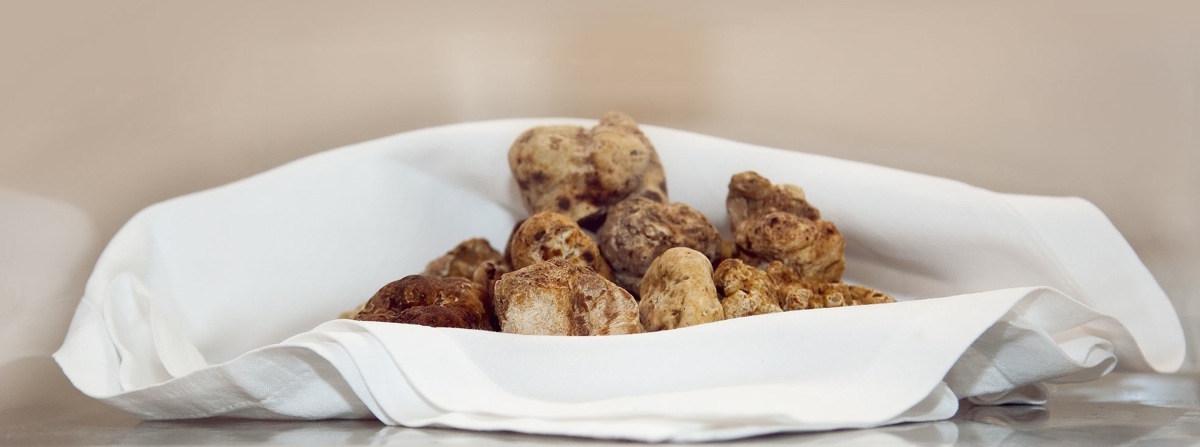 tartufo-bianco-pregiato-carte-didentita-e-principali-eventi