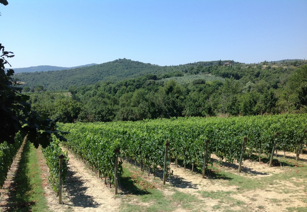 castello-di-monte-vibiano