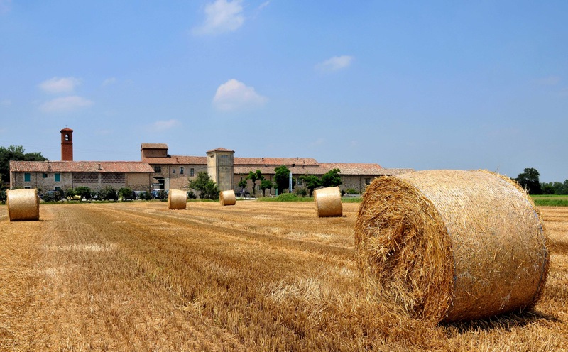 museo-della-pasta