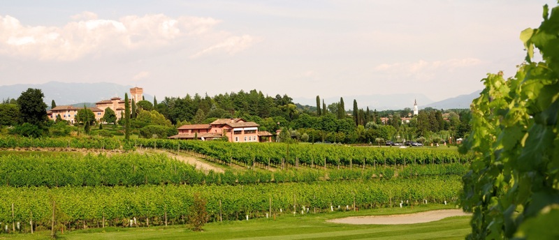 wine-destination-castello-di-spessa