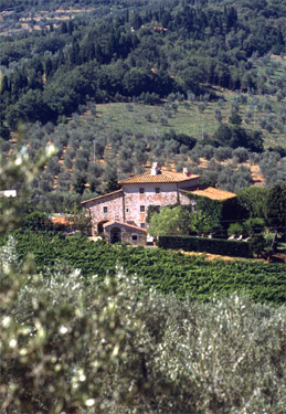 wine-destination-fattoria-lavacchio