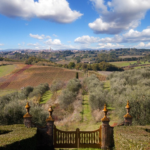 wine-destination-tenuta-di-montechiaro