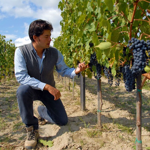 wine-destination-tenuta-di-montechiaro