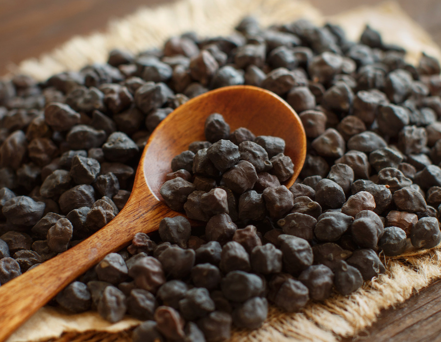 cece-nero-murgia-carsica cece-nero-murgia-carsica
