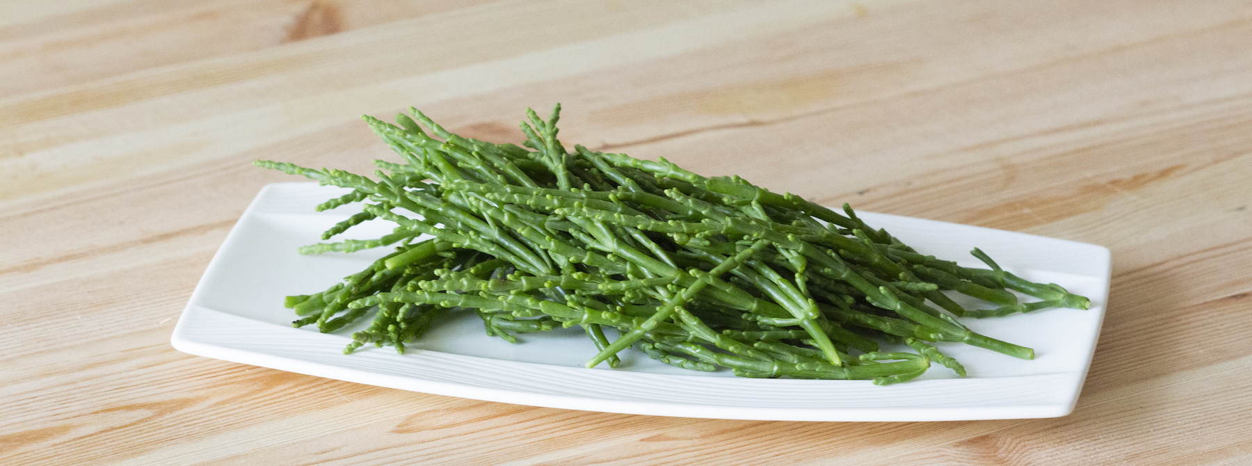 Salicornia Cos E E Come Si Cucina Saporie