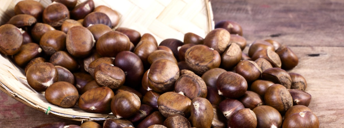 castagne