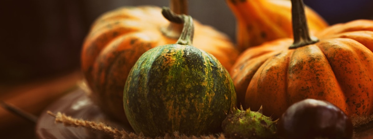 zucca