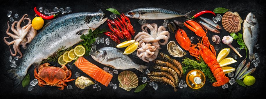 congelare il pesce fresco congelare il pesce fresco