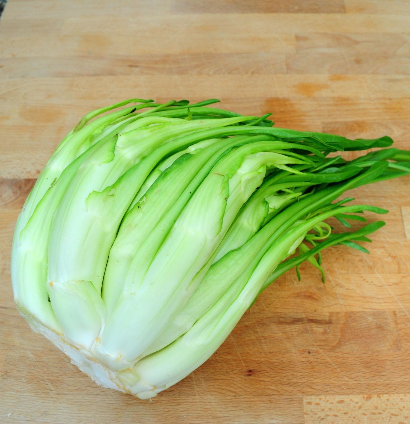 Come fare le puntarelle alla romana e le puntarelle cotte ...